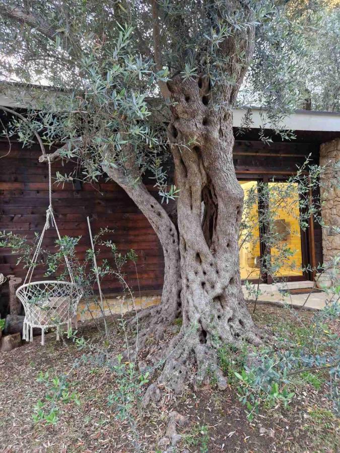Olea Cottage 울친 외부 사진